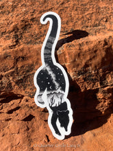 Load image into Gallery viewer, Cacti Coati