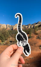 Load image into Gallery viewer, Cacti Coati